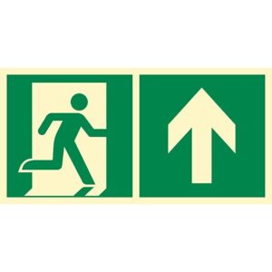 ZNAK KIERUNEK DO WYJŚCIA EWAK. W GÓRĘ LEWOSTRONNY PŁYTA 18261 AE090CEPS