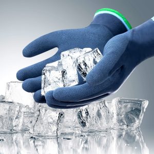 0201762da30c149c52a6ff7ebc7a266b