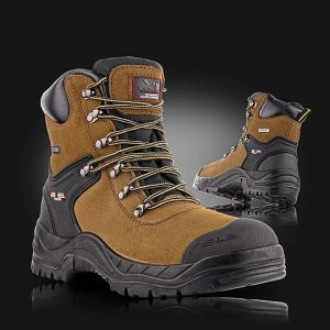 f975da045a86b9cc2f690081ad0e6356